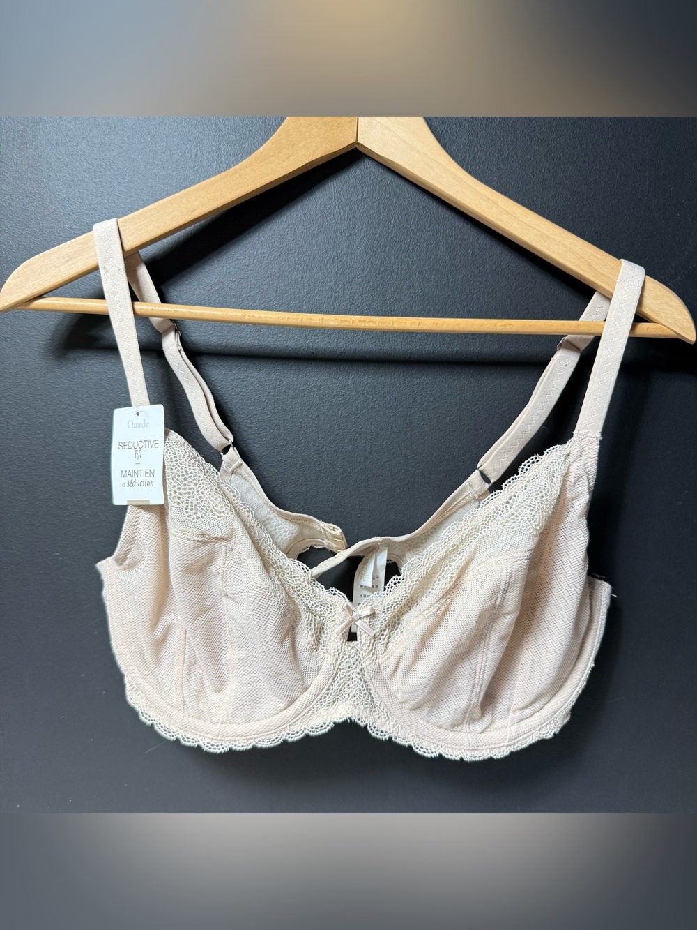 Chantelle Le Marais C27310 Womens Underwire Plunge Sheer Lace Floral Bra